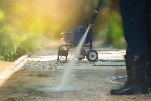 Best Spring Cleaning  in Ogden, IA